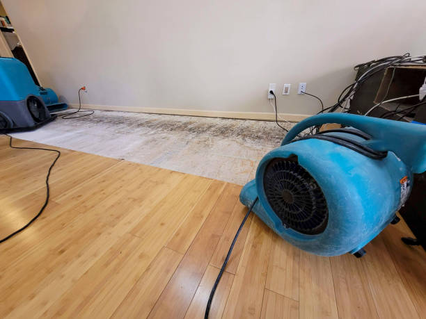 Professional Basement Flood Cleanup technician working in Dragoon, AZ